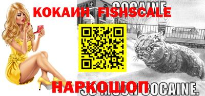 индика Кингисепп