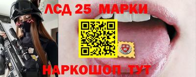 индика Кингисепп