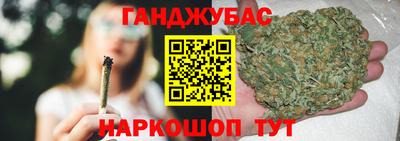 индика Кингисепп