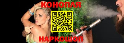 индика Кингисепп