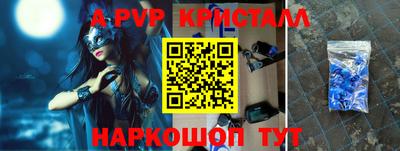 индика Кингисепп