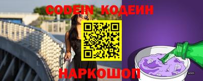 индика Кингисепп