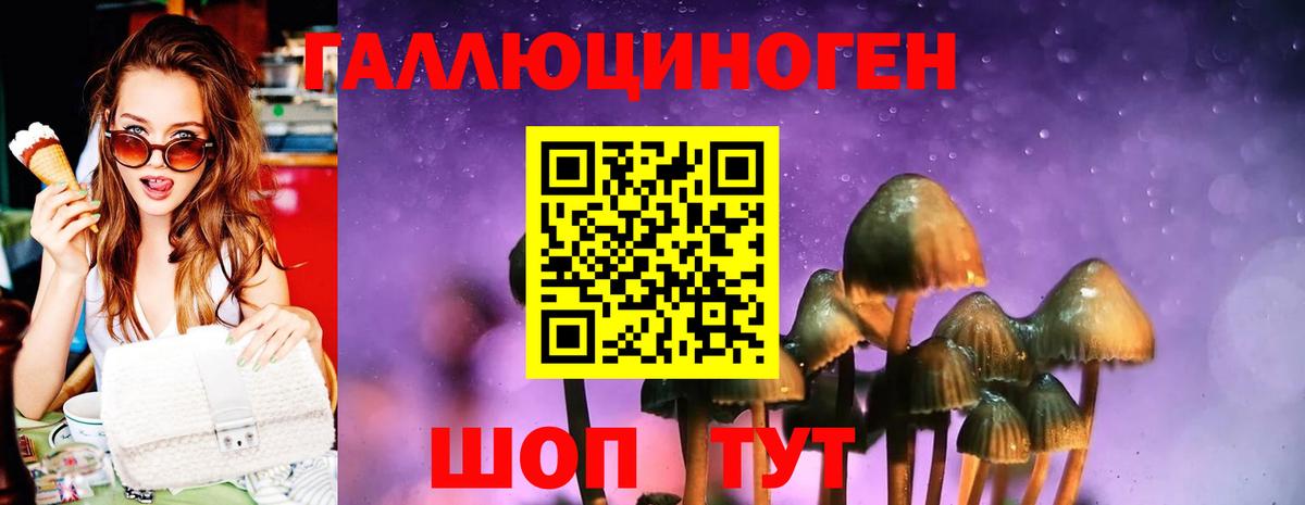 где можно купить   Вход с VPN  Галлюциногенные грибы MAGIC MUSHROOMS  Котлас  Галлюциногенные грибы GOLDEN TEACHER 
